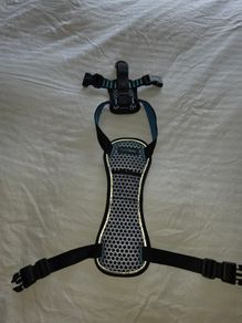 Car harness for dog