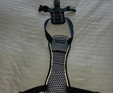 Car harness for dog