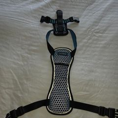 Car harness for dog