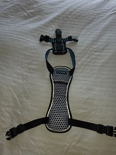 Car harness for dog