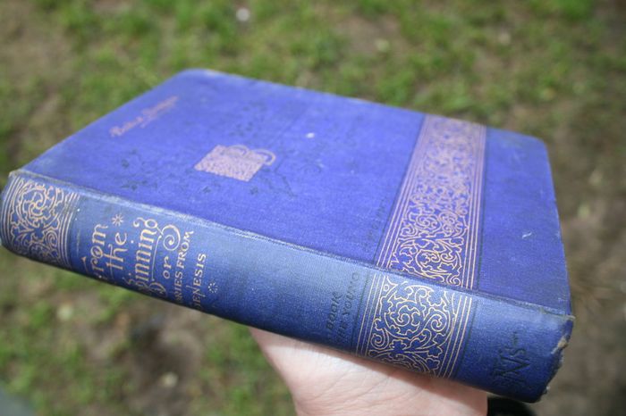 Bible Stories From the Beginning. Stories From Genesis. Morton, G E