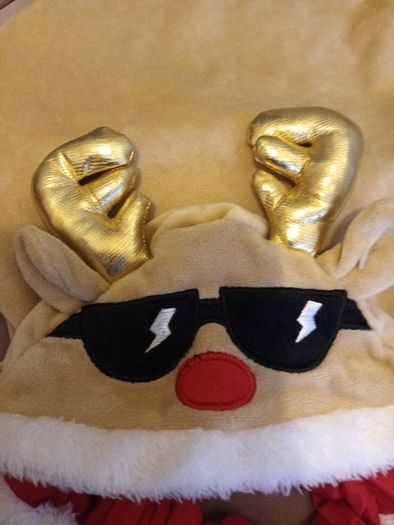 Funky rudolf dog coat