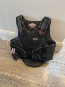 Back protector