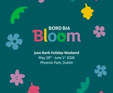 Bloom Festival