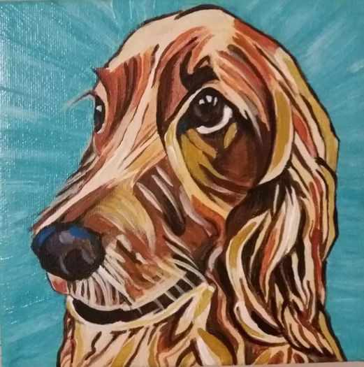 Pet Portraits