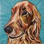 Pet Portraits Image 5