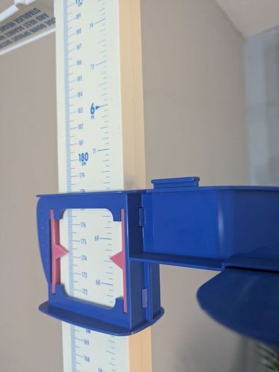 Seca Stadiometer