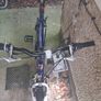 Ladies Bike 26"Wheelsw.FrontSusp.+2MountainB.+ 1VintageB.VeryGoodCondition Image 5