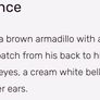 Flip-A-Mallow (Maritza the Cactus and Thompson the Armadillo) Image 6
