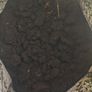 Top Soil Image 6