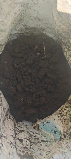 Top Soil