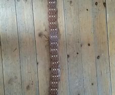 Brown belt