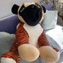 Teddy Image 2