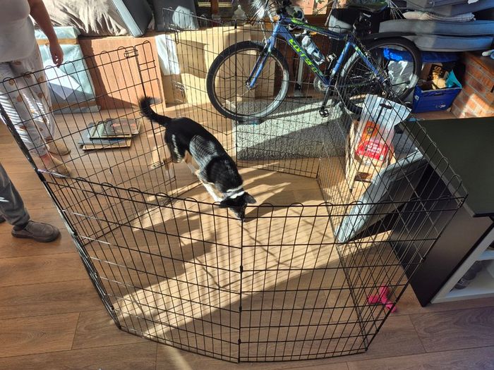 Metal dog playpen