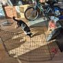 Metal dog playpen Image 3