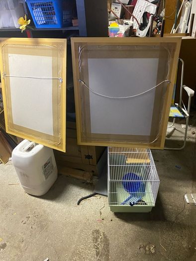 pair of large pictures