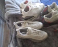 trainers