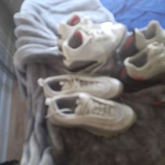 trainers