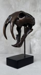 Sabre-Tooth Tiger (20cm) - Bronze, Signed