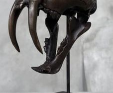 Sabre-Tooth Tiger (20cm) - Bronze, Signed