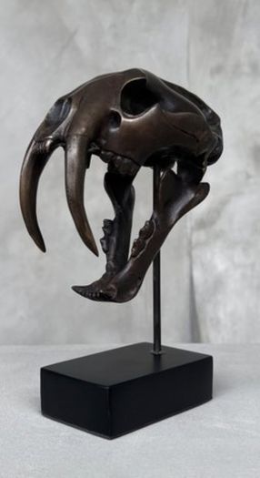Sabre-Tooth Tiger (20cm) - Bronze, Signed