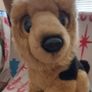German shepherd ; plush dog (Pr 1779 ) 2 Image 2