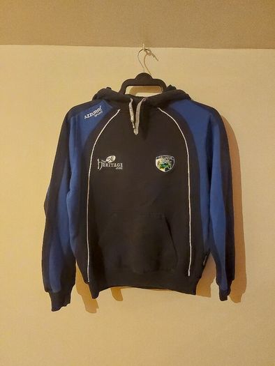 laois gaa hoodie