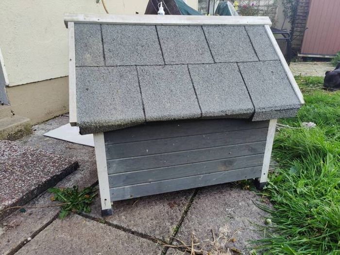 Dog House