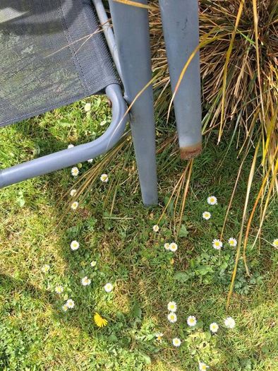 PATIO table and 4 chairs
