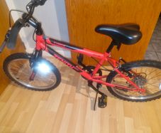 Red 20 inch bike
