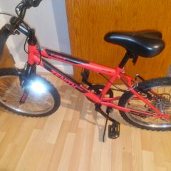 Red 20 inch bike