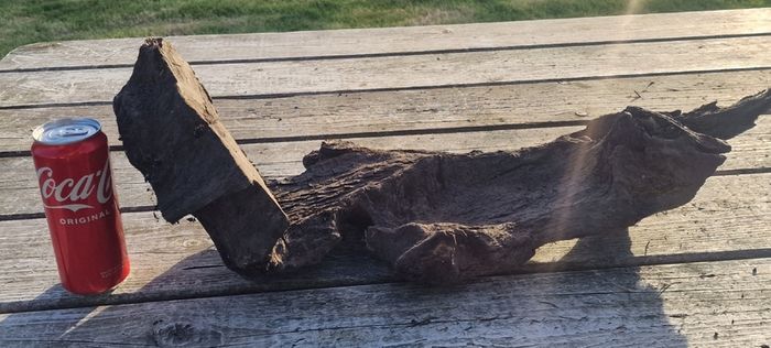 bog oak