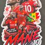 Iron-On Transfers Image 2