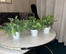 Small Artificial Plants