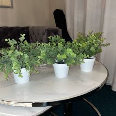 Small Artificial Plants