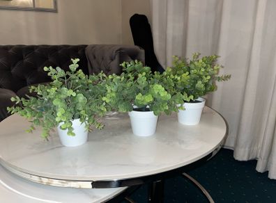 Small Artificial Plants