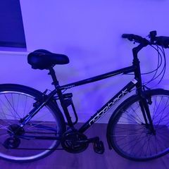 Ridgeback Adult Bike