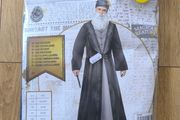 Harry Potter adult men costume Dumbledore New Halloween