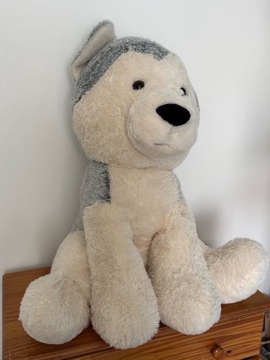 teddy bear