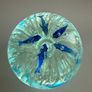 Two Dolphin and Ocean themed Paperweights Image 5