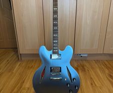Epiphone DG-335