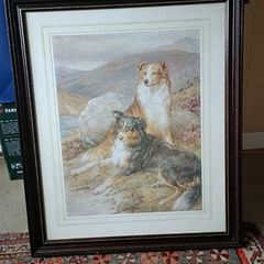 Framed Collie Print