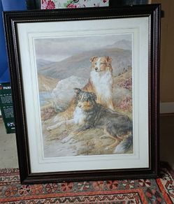Framed Collie Print