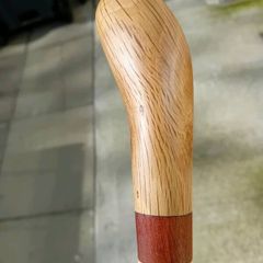 Walking stick