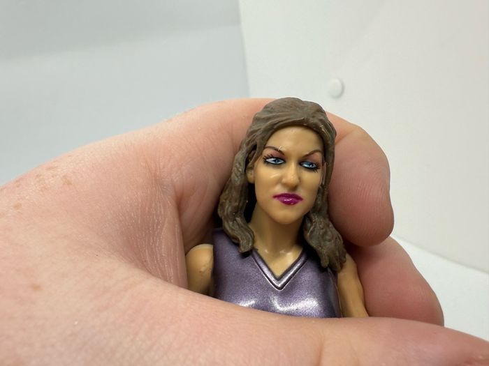 wwe Stephanie McMahon action figure