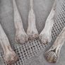Silver plated 5 dessert spoons Kings pattern Image 4