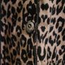 Gallery Denim Print Bomber Jacket Image 3
