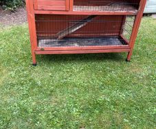 Guinea pig/rabbit hutch