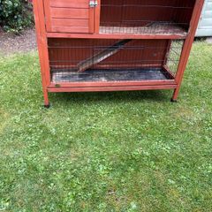 Guinea pig/rabbit hutch