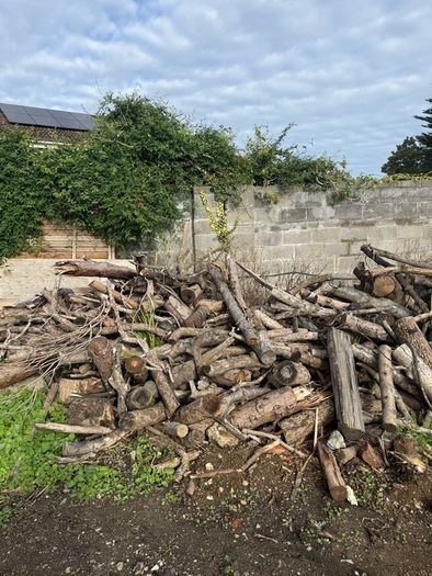 free logs to take away